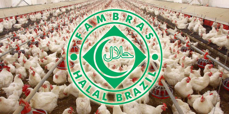 Бразилия с начала года экспортировала около миллиона тонн халяльной курицы